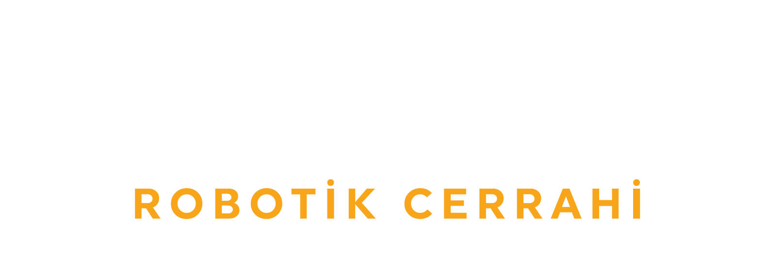 https://www.bursarobotikcerrahi.com/wp-content/uploads/2025/10/Logo2.png