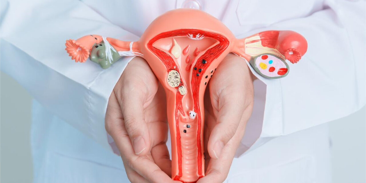 Kadın Sağlığında Devrim Rahim ve Yumurtalık Ameliyatlarında Da Vinci Robotik Cerrahi